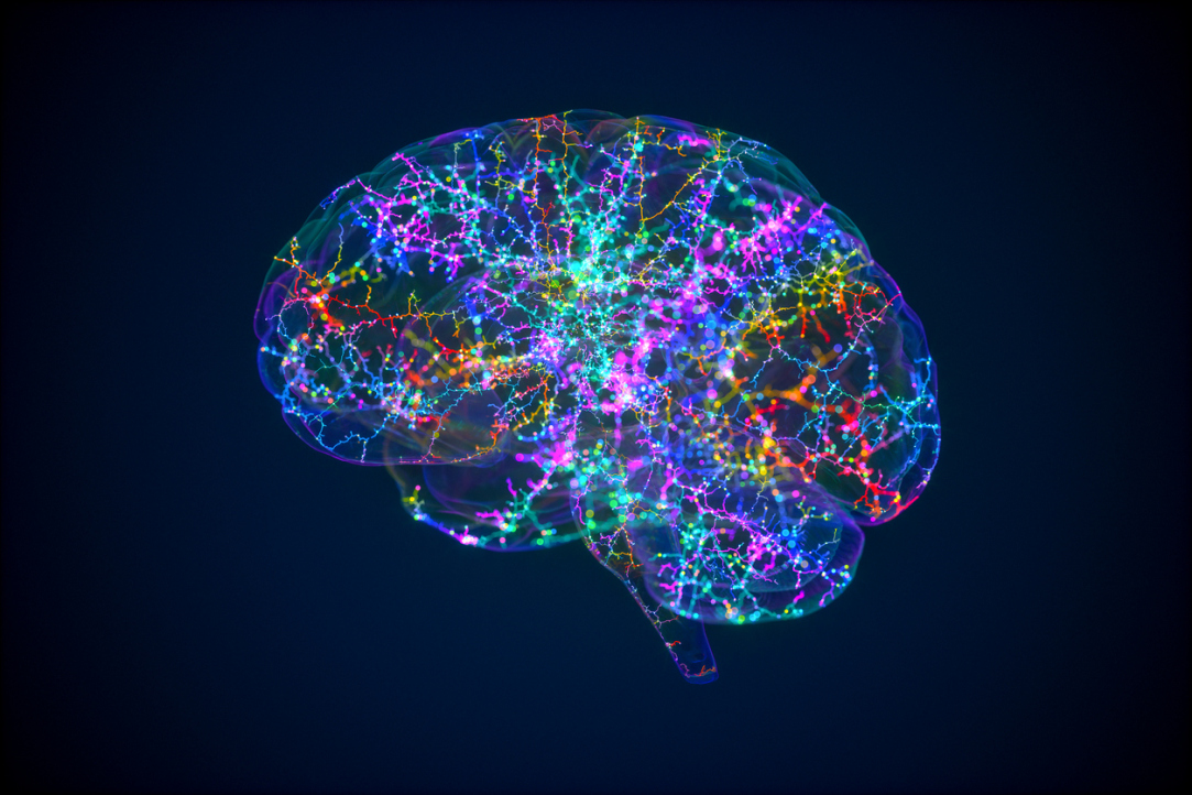 Illustration for news: Neuroscientists Inflict 'Damage' on Computational Model of Human Brain