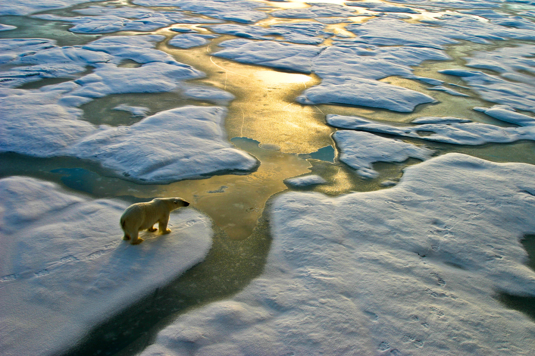 &apos;The Main Focus Is on Providing an Understanding of What the Climate System Is&apos;